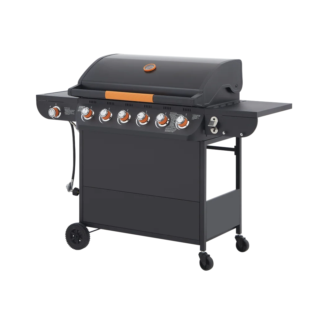 Stainless Steel 2 Burner Propane Gas Grill 24000BTU Outdoor BBQ Grill Side Burner Enameled Grates Patio Backyard Garden Cooking