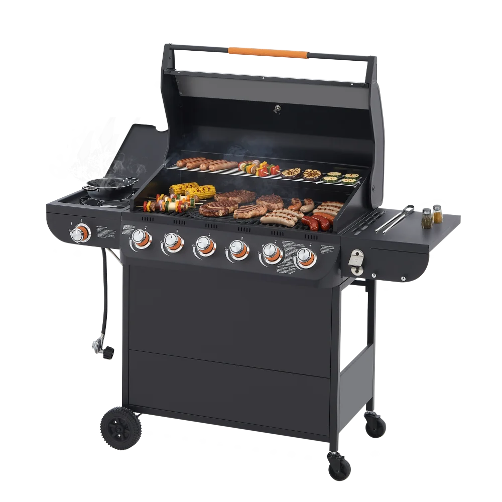 Stainless Steel 2 Burner Propane Gas Grill 24000BTU Outdoor BBQ Grill Side Burner Enameled Grates Patio Backyard Garden Cooking - Image 2